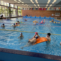 Plavecký výcvik - závody v plavání